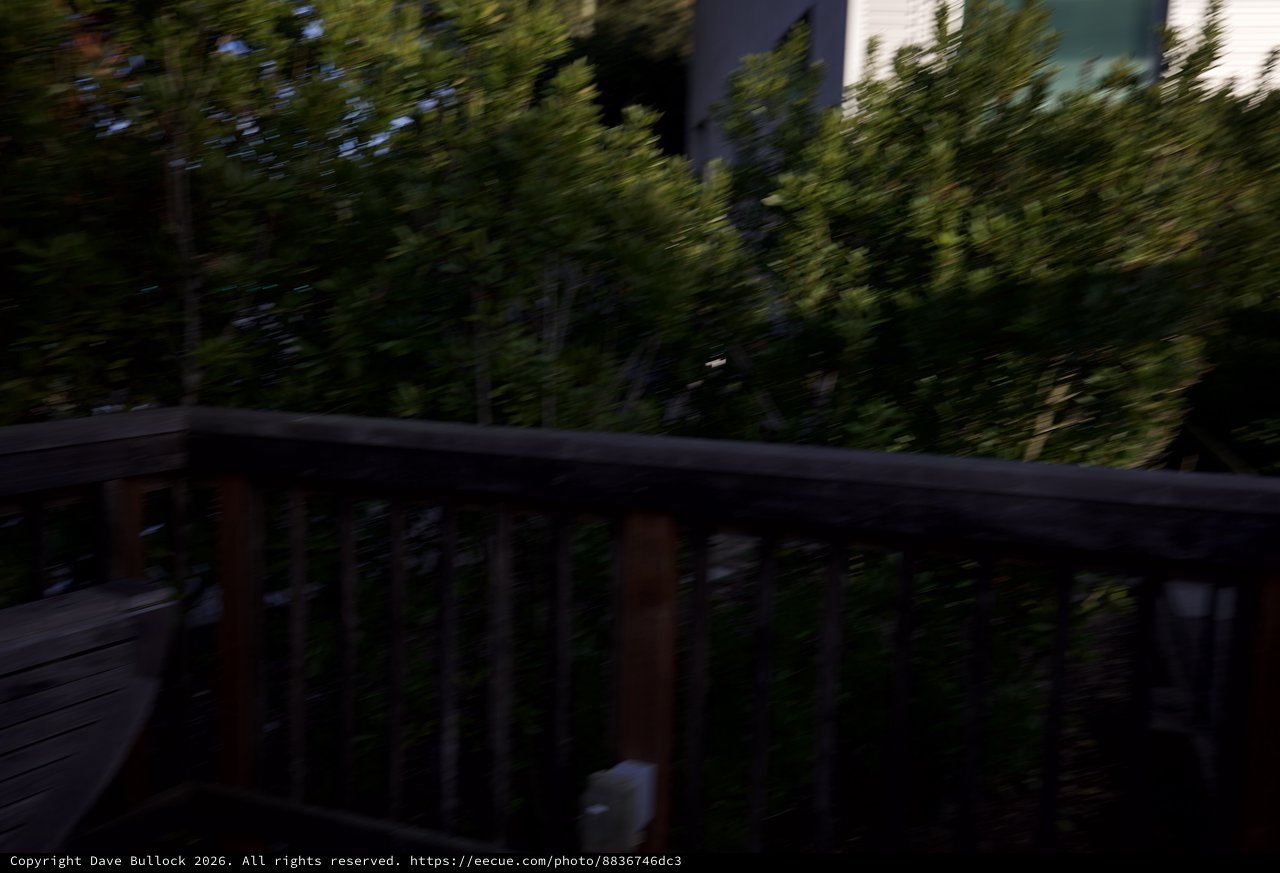 Motion Blur Through Trees from Wooden Deck Railing