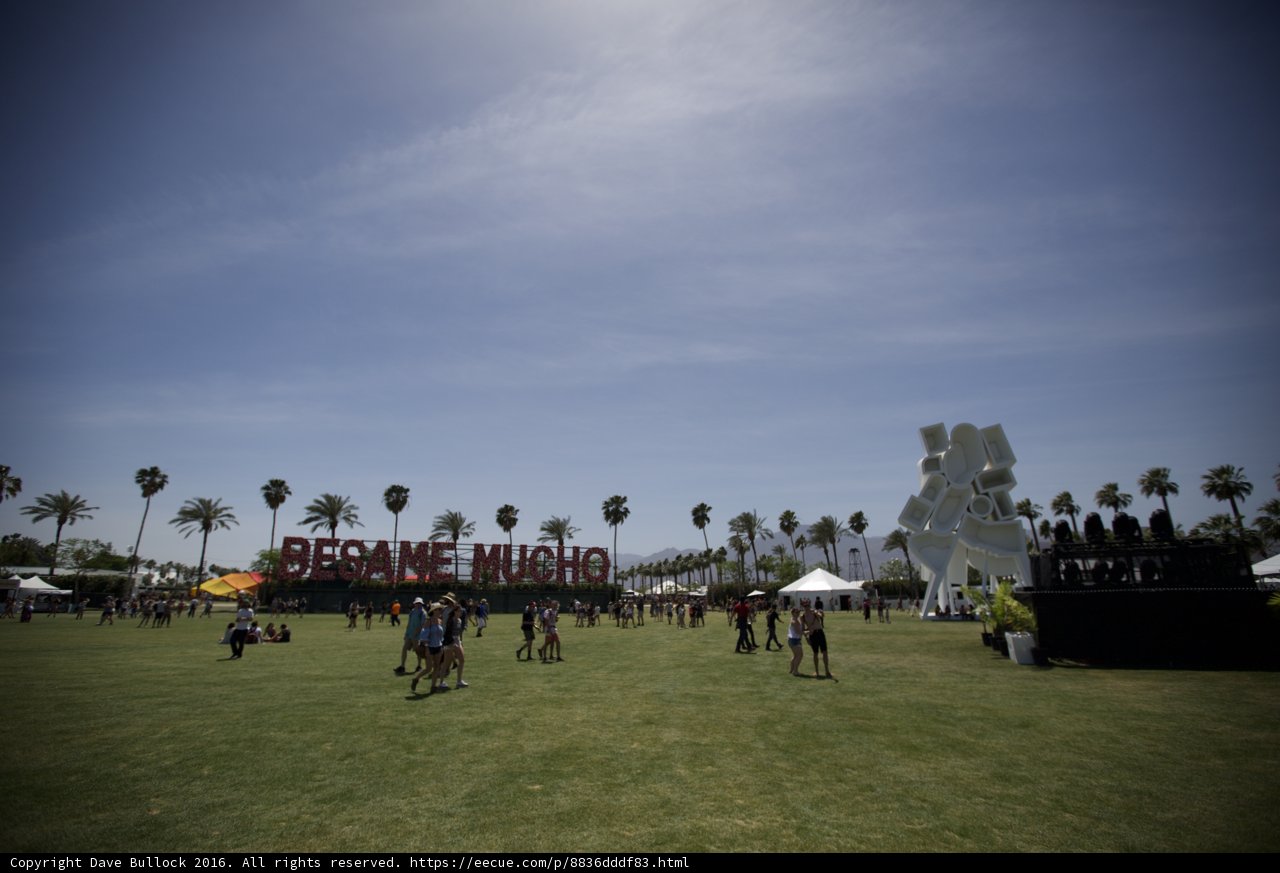 Festival Fun in the Sun