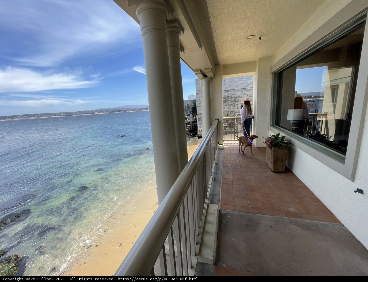 Serene View from the Balcony