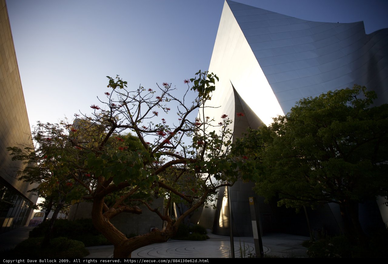 The Walt Disney Concert Hall in Los Angeles