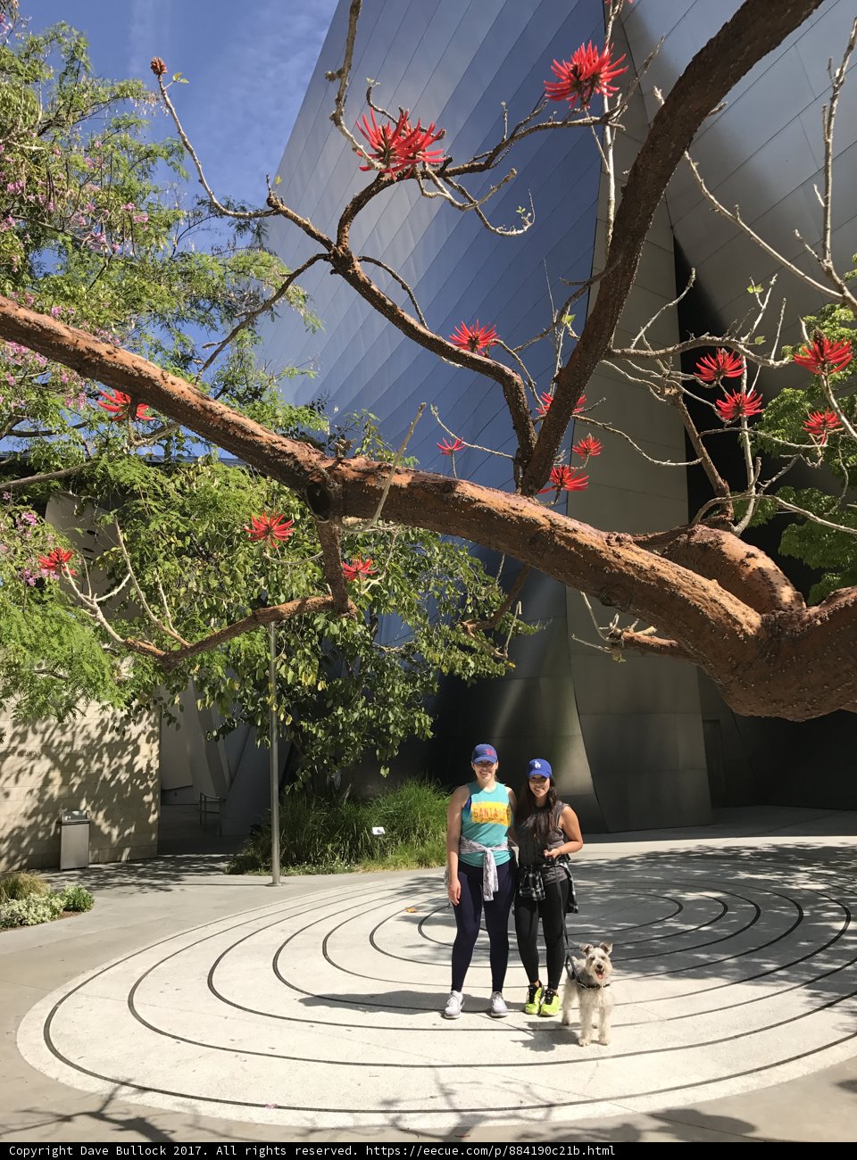 Two People and a Pup Pose by a Towering Tree