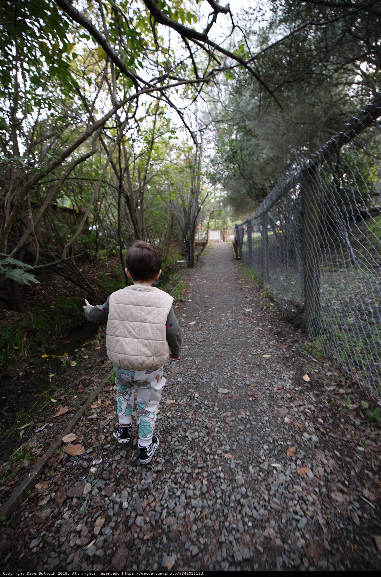 Child Walking Along Wooded Trail Path