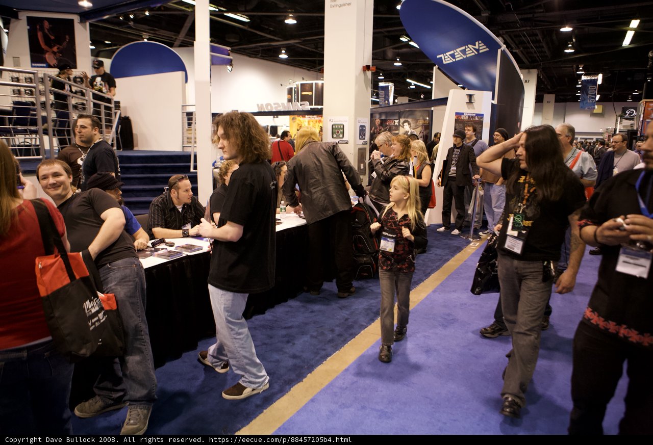 Convention Crowd