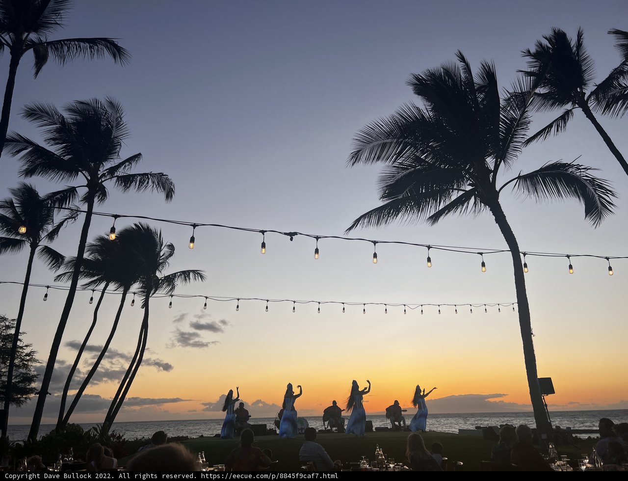 Tropical Twilight Nuptials