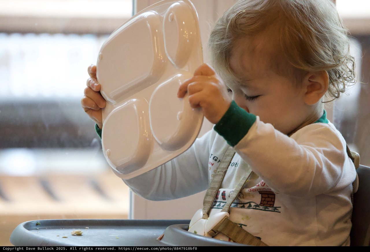 Toddler Exploring with Divided Plate at Mealtime