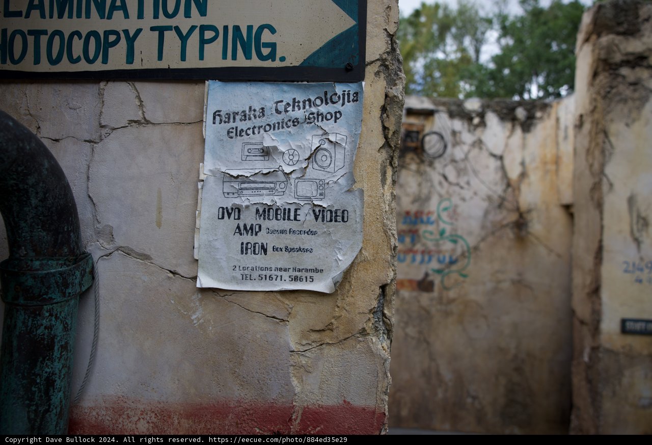 A Mysterious Find at Disneyworld's Animal Kingdom