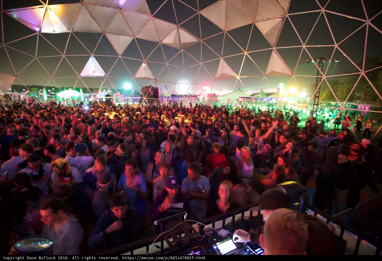 The Nightlife Crowd