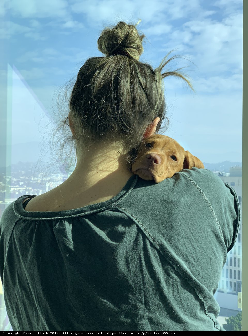 A Woman and Her Beloved Canine Companion