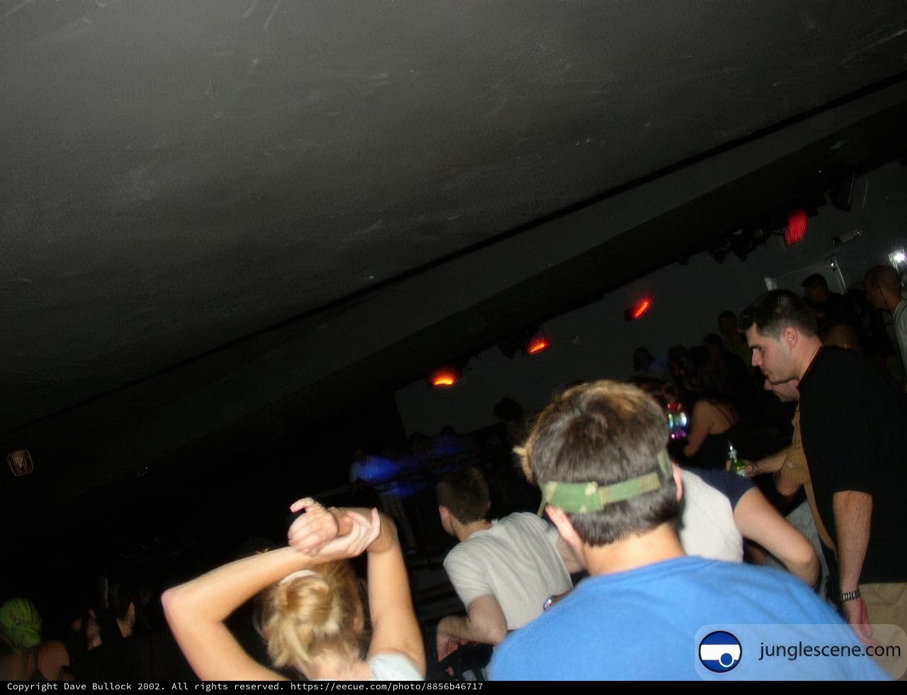 Disco Fever at the Night Club