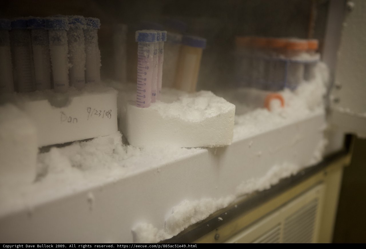 Inside the Science Lab