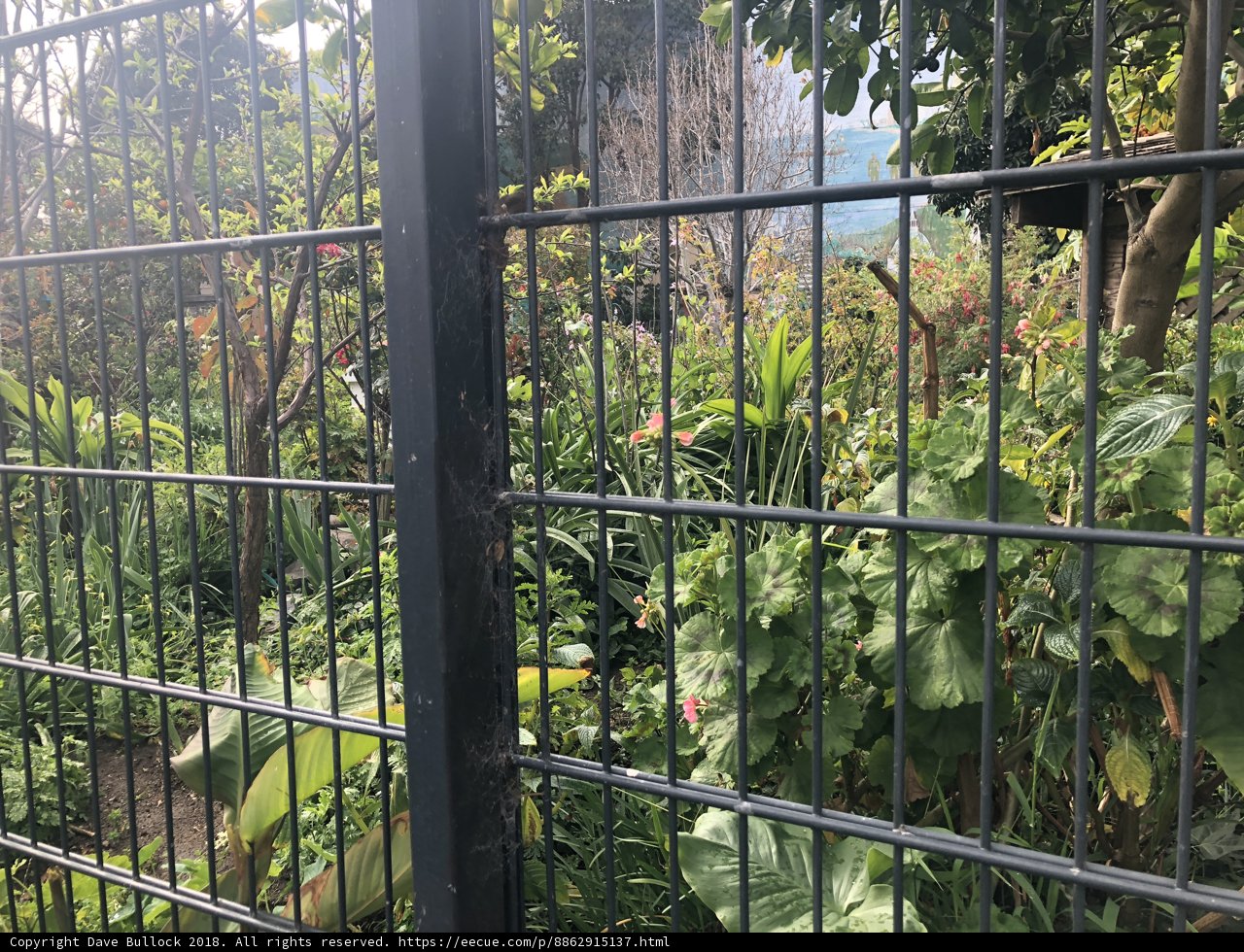 Nature's Barrier