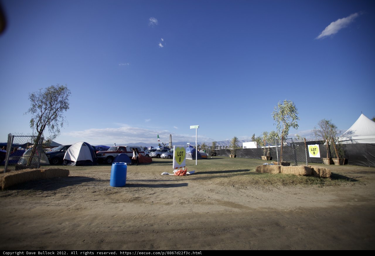 Camping under the Tree