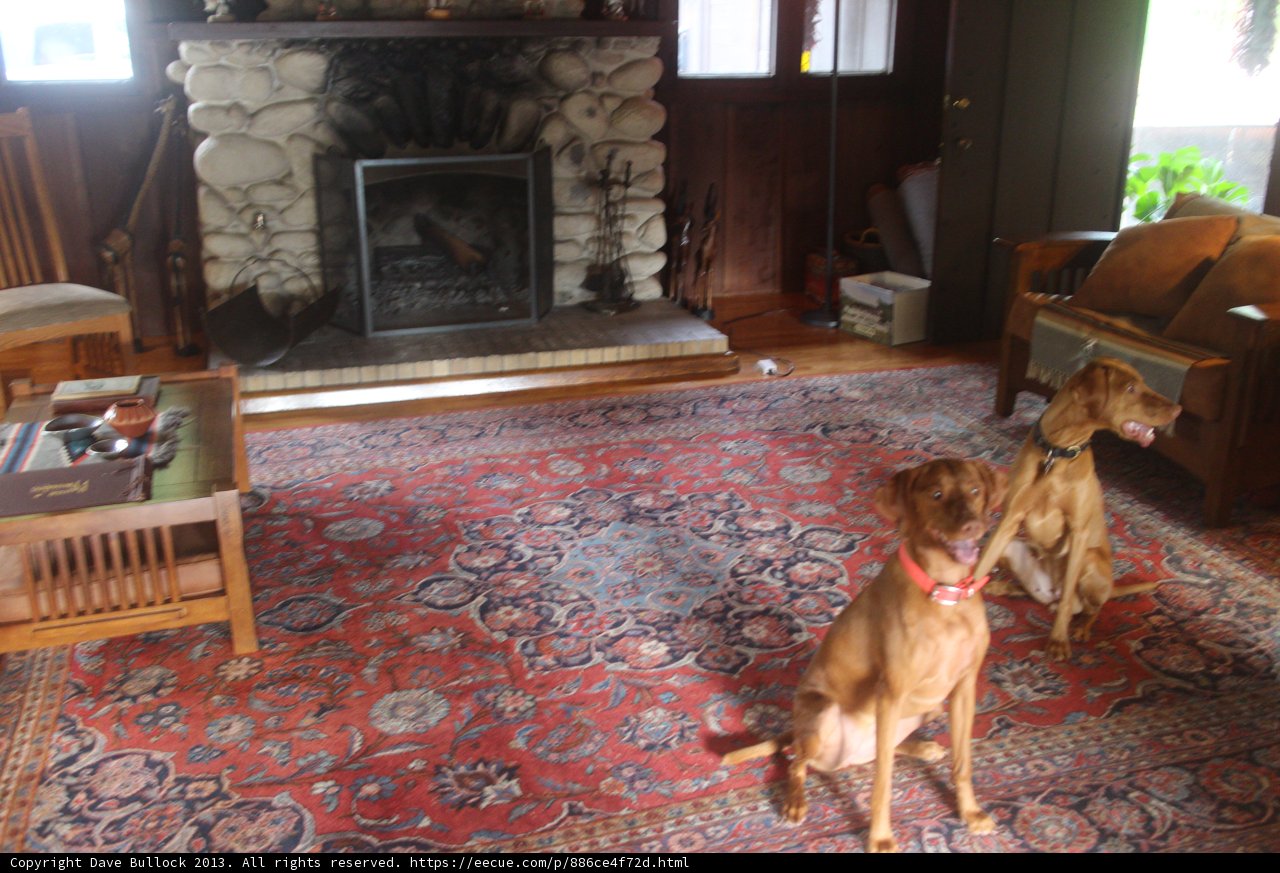 Living Room Companions