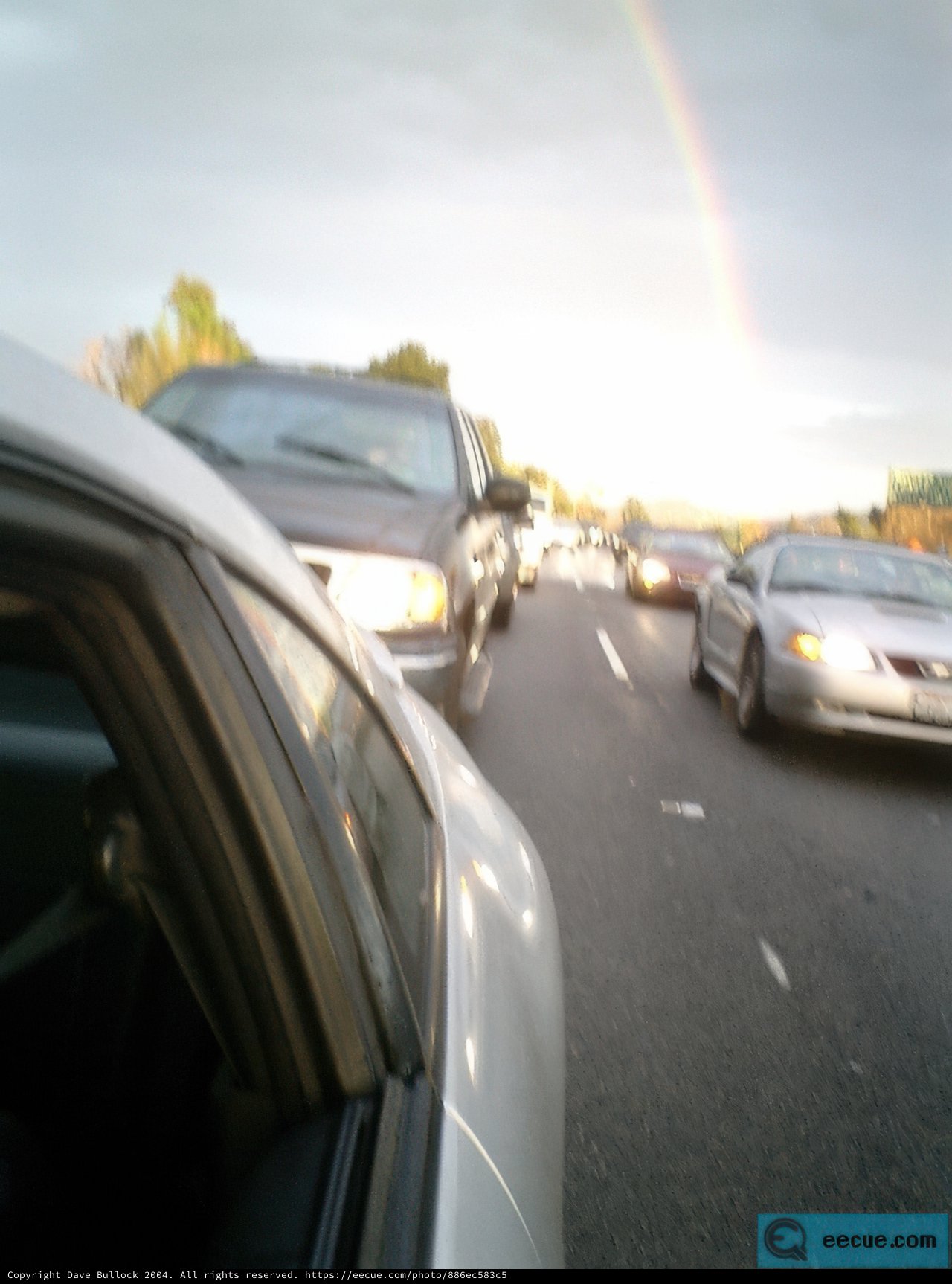 Rainbow Ride
