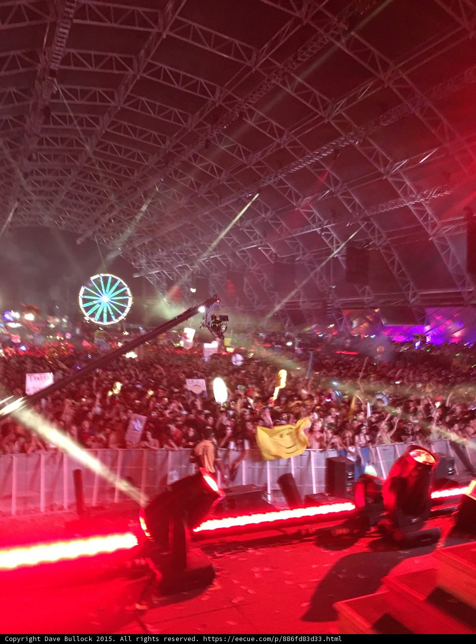 Electric Crowd at Night Performance