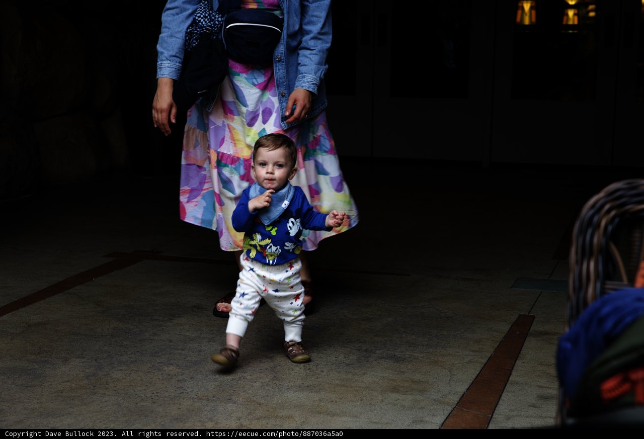 Magical Moments at Disneyland