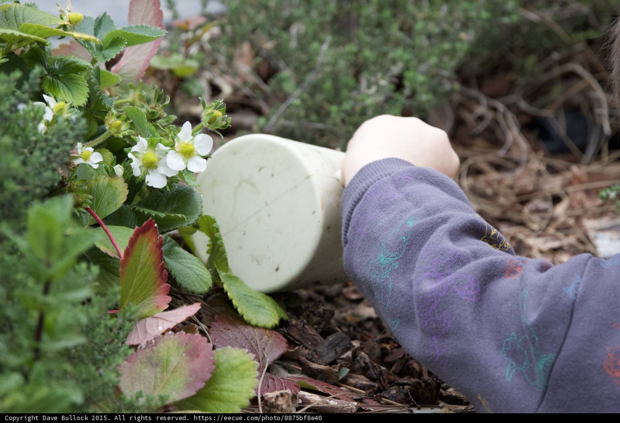 Nurturing Nature