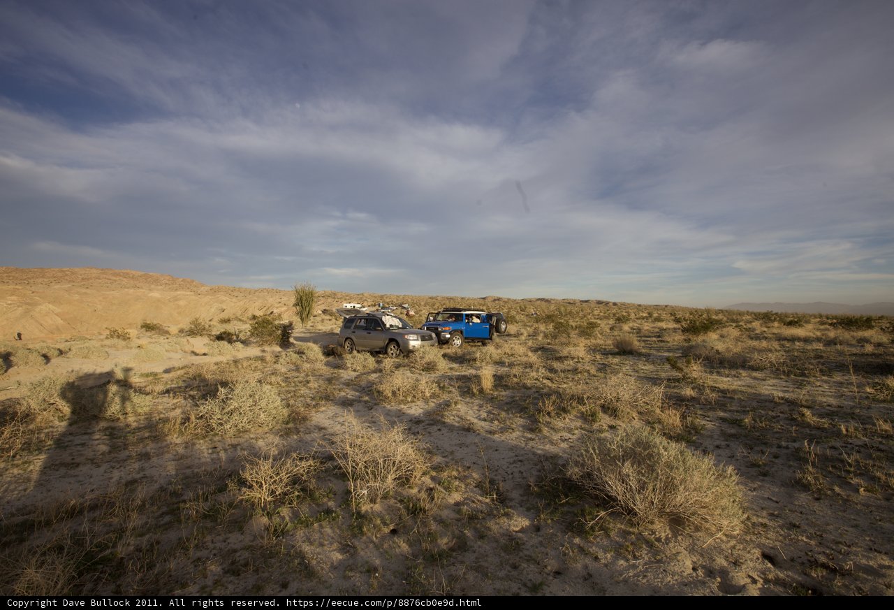 Desert Expedition