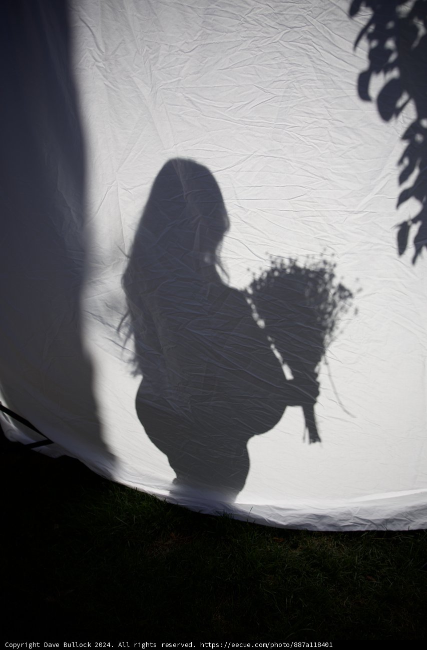 Shadows of Expectation