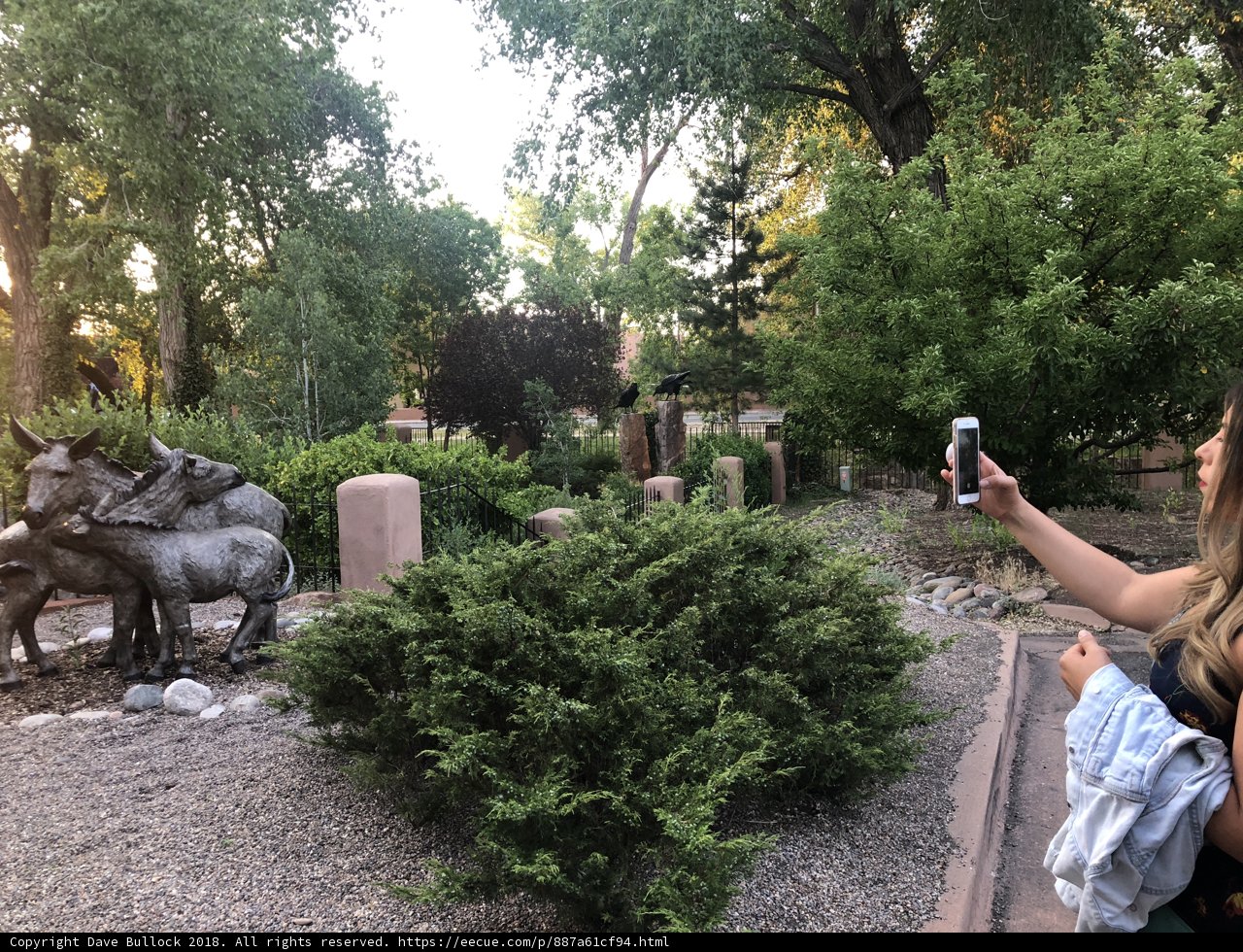 Capturing Art in Nature