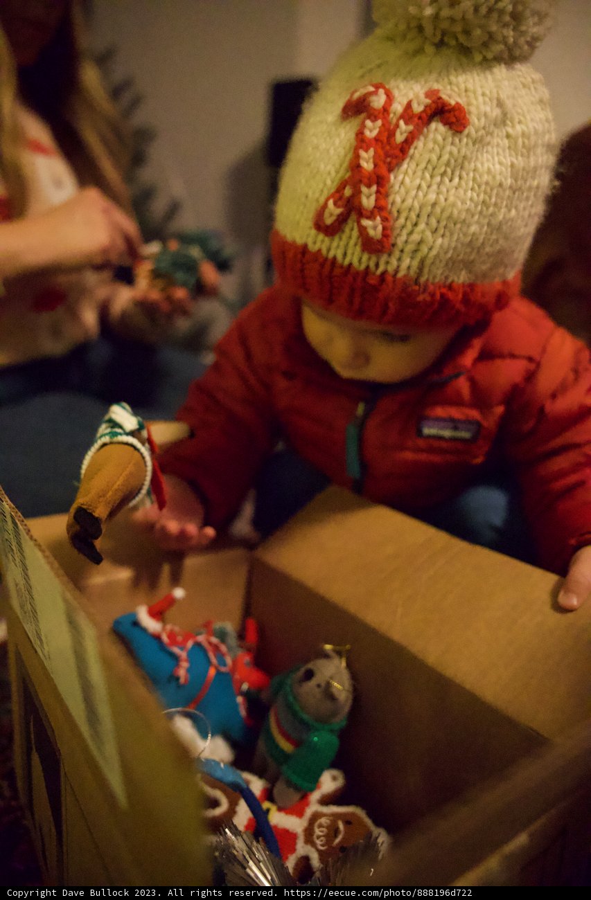 Wesley's First Christmas Adventure