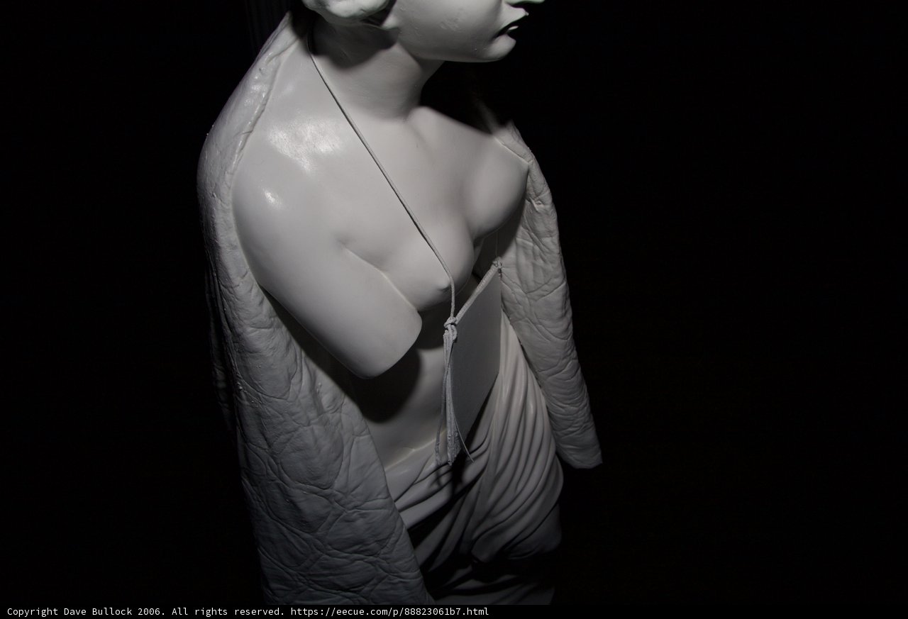 Sculpted Beauty