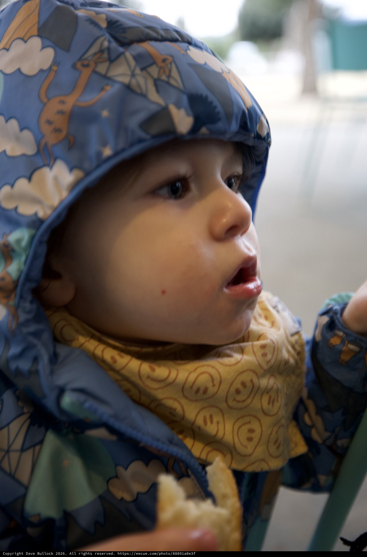Young Child in Blue Dinosaur Bucket Hat Portrait