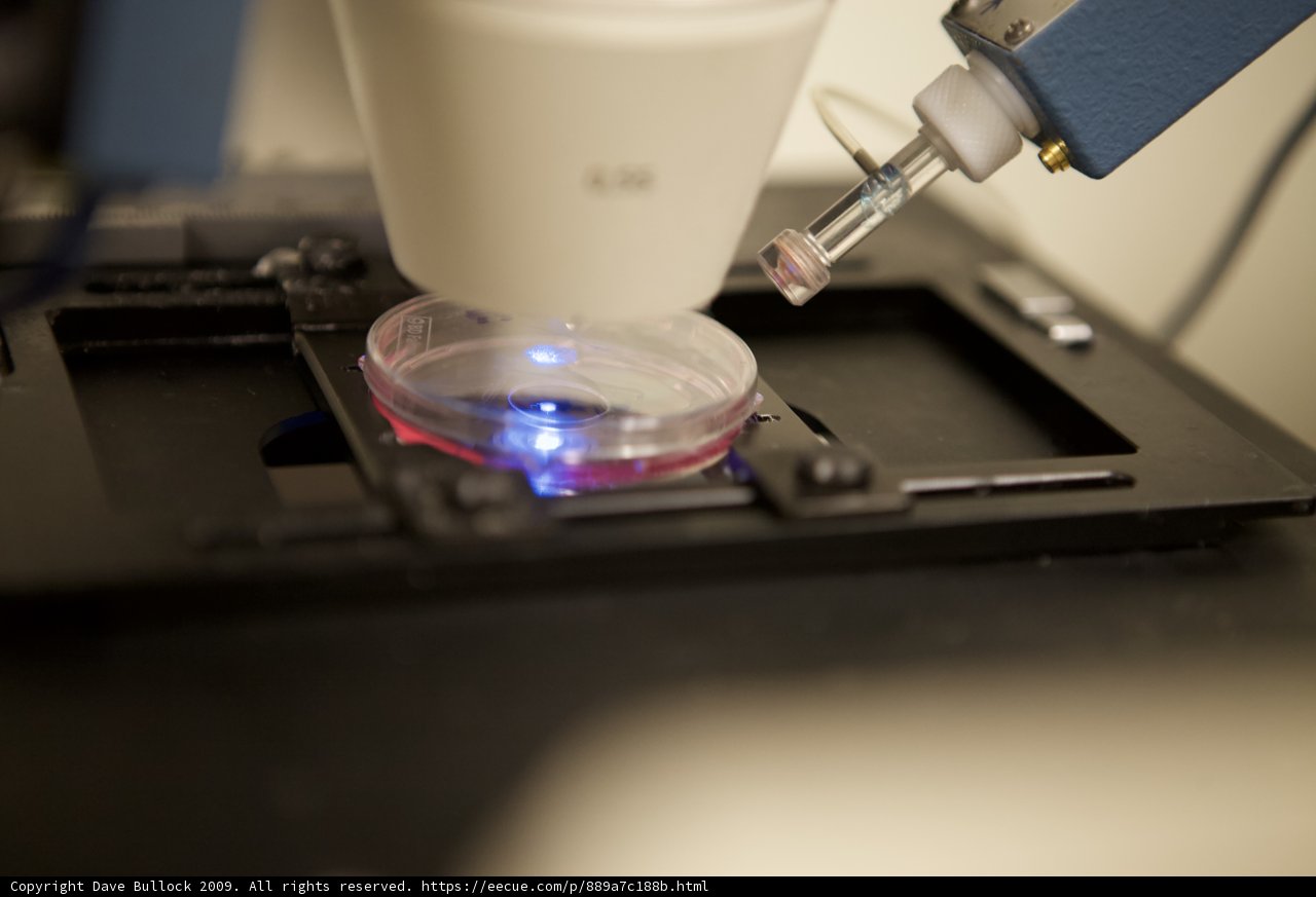 Exploring the unknown: Examining a Cell