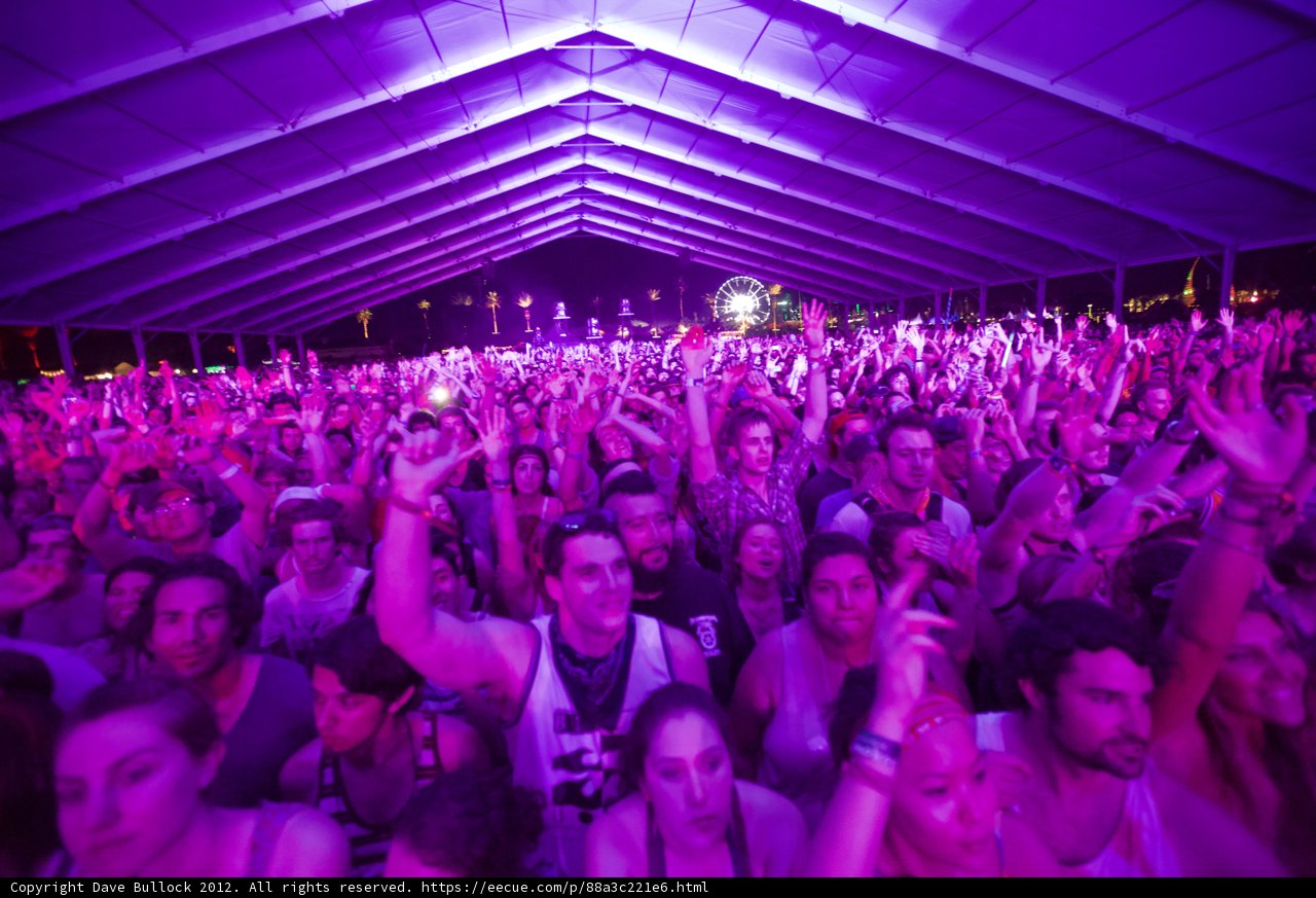 The Electric Crowd