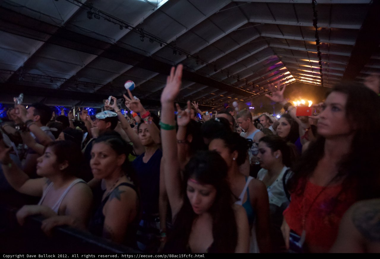 Coachella 2012: The Ultimate Party Crowd