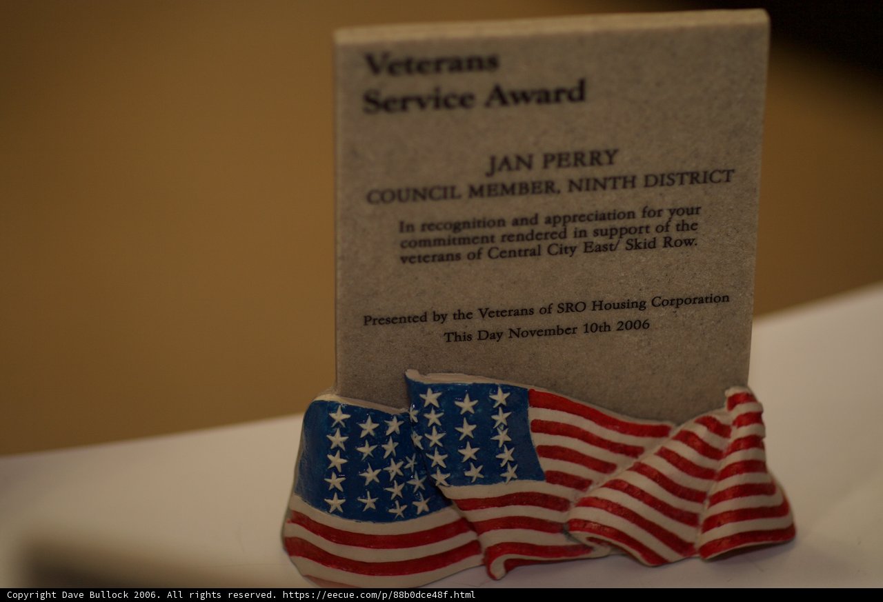 Jan Fey Receiving Veteran Service Award