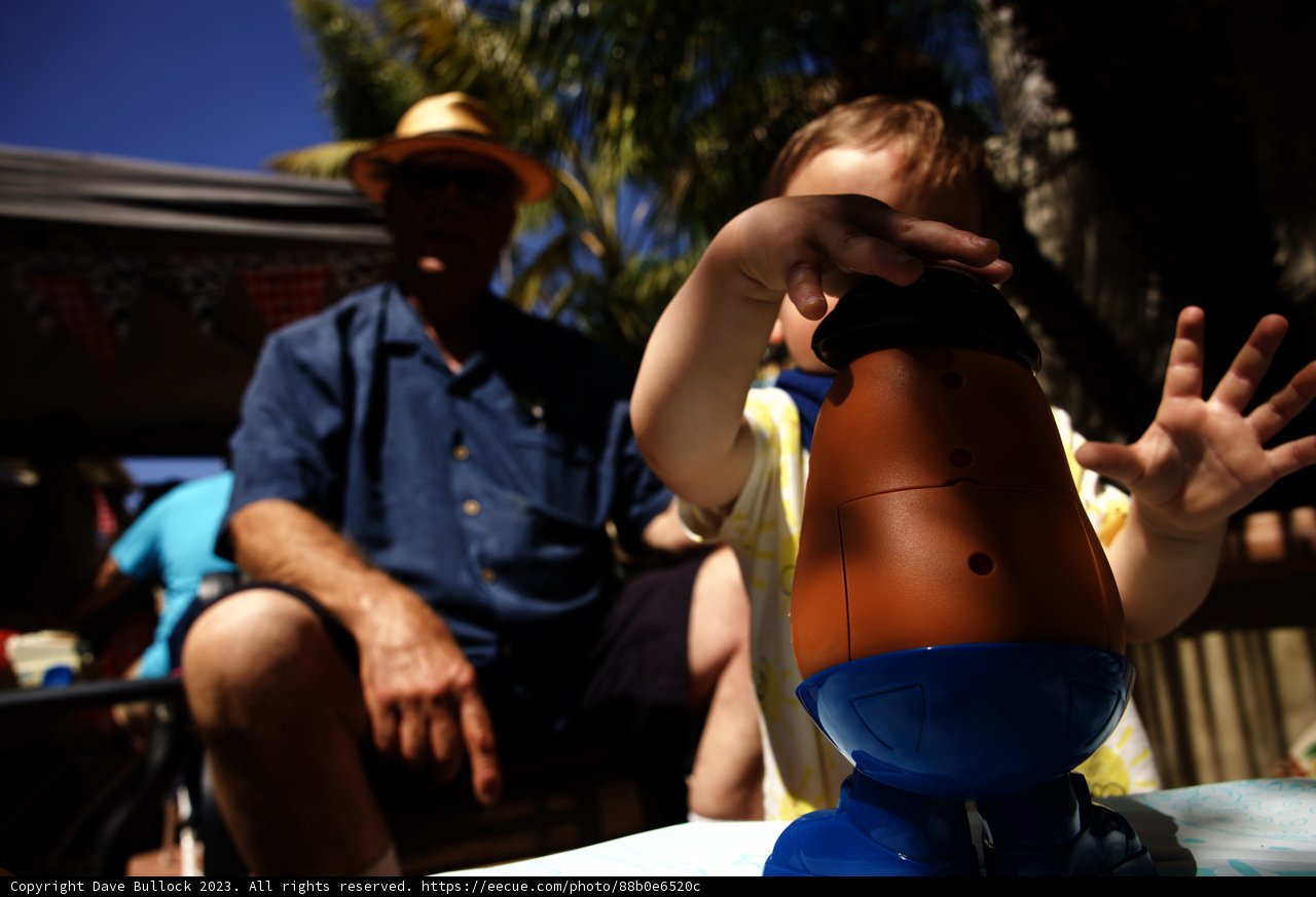 A Young Voyager's Adventure: Wesley's First Birthday