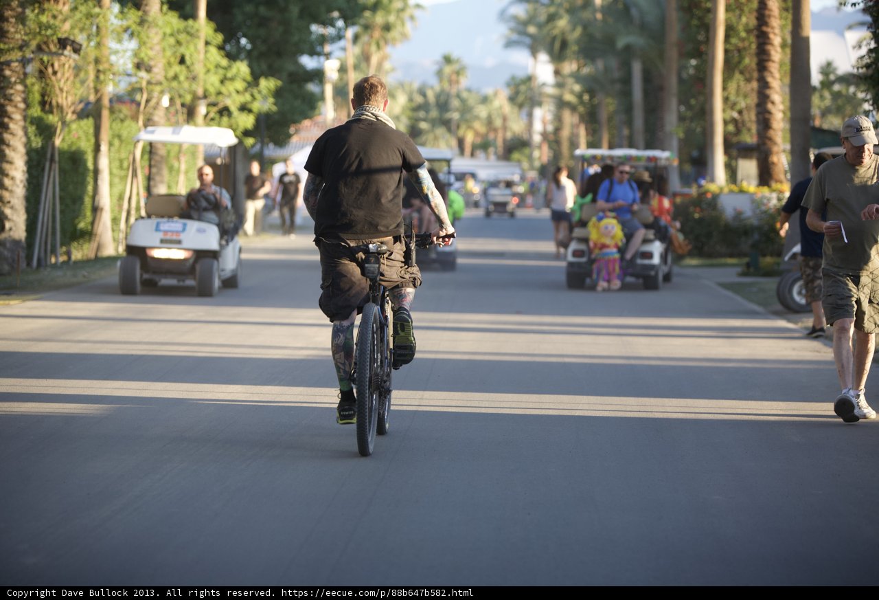 Biking Through Palm-Lined Streets