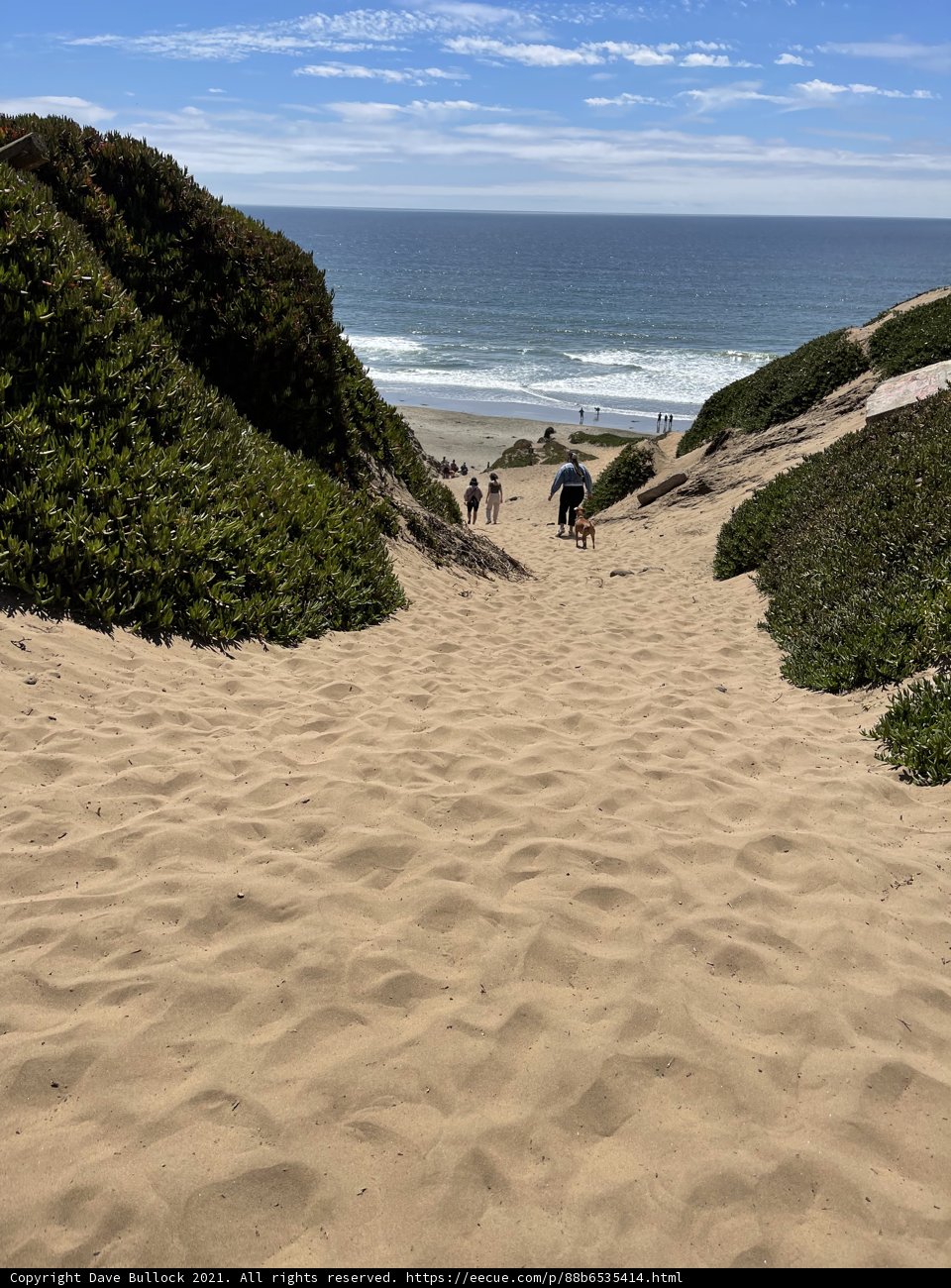 Scaling the Sandy Heights
