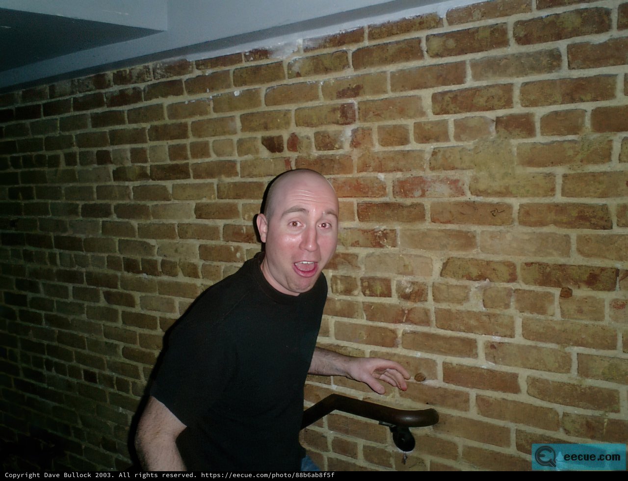 The Bearded Brick Wall