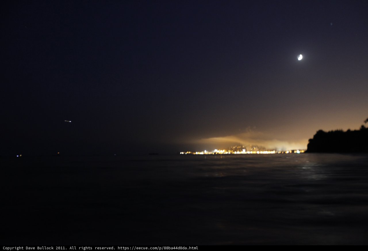 Moonlit Night Over the Ocean