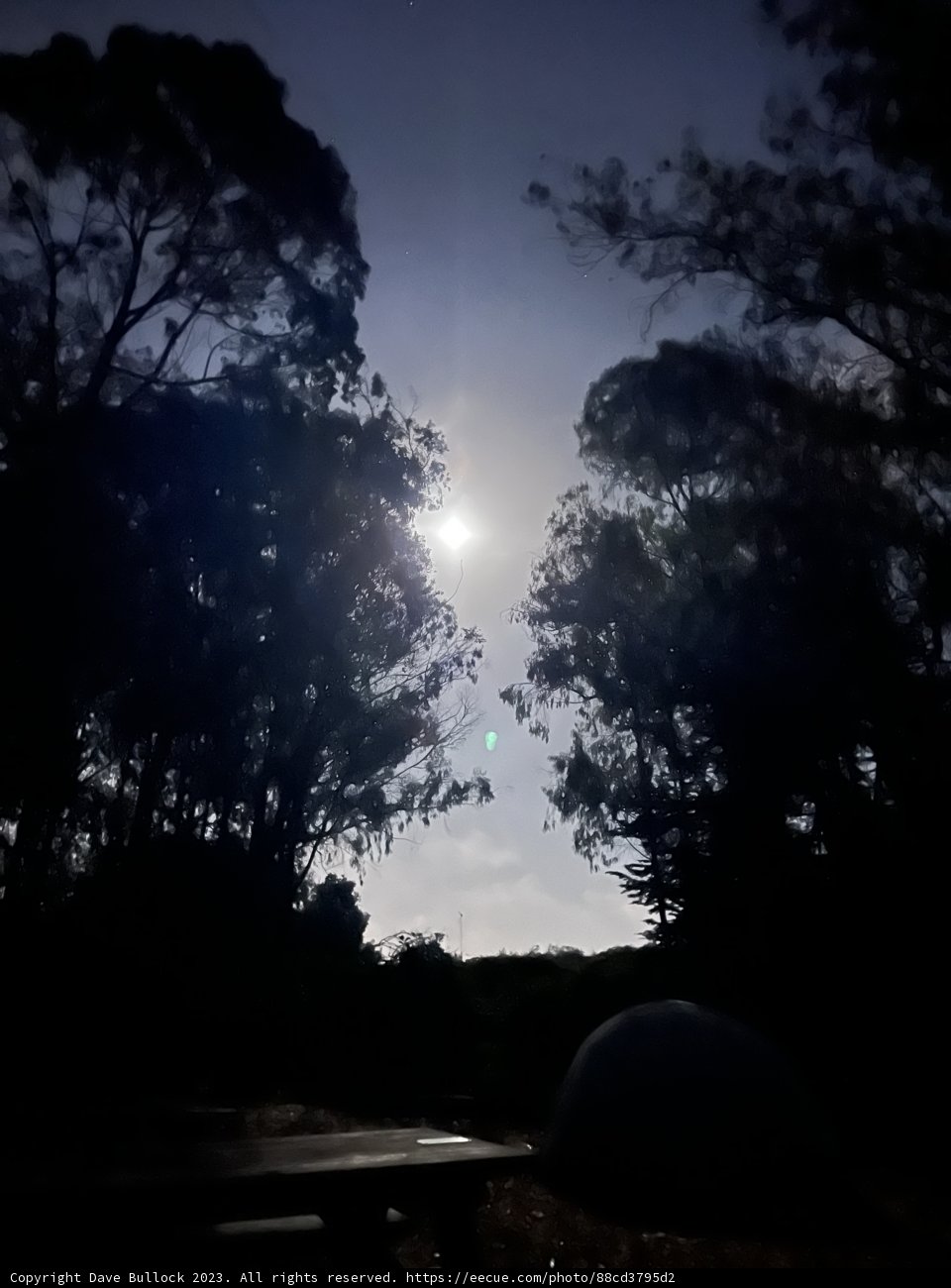 A Radiant Dawn in Presidio