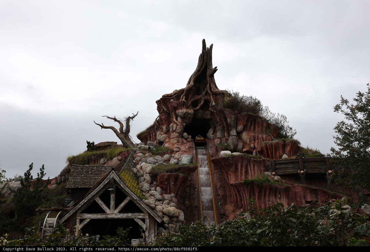 Nature's Architecture