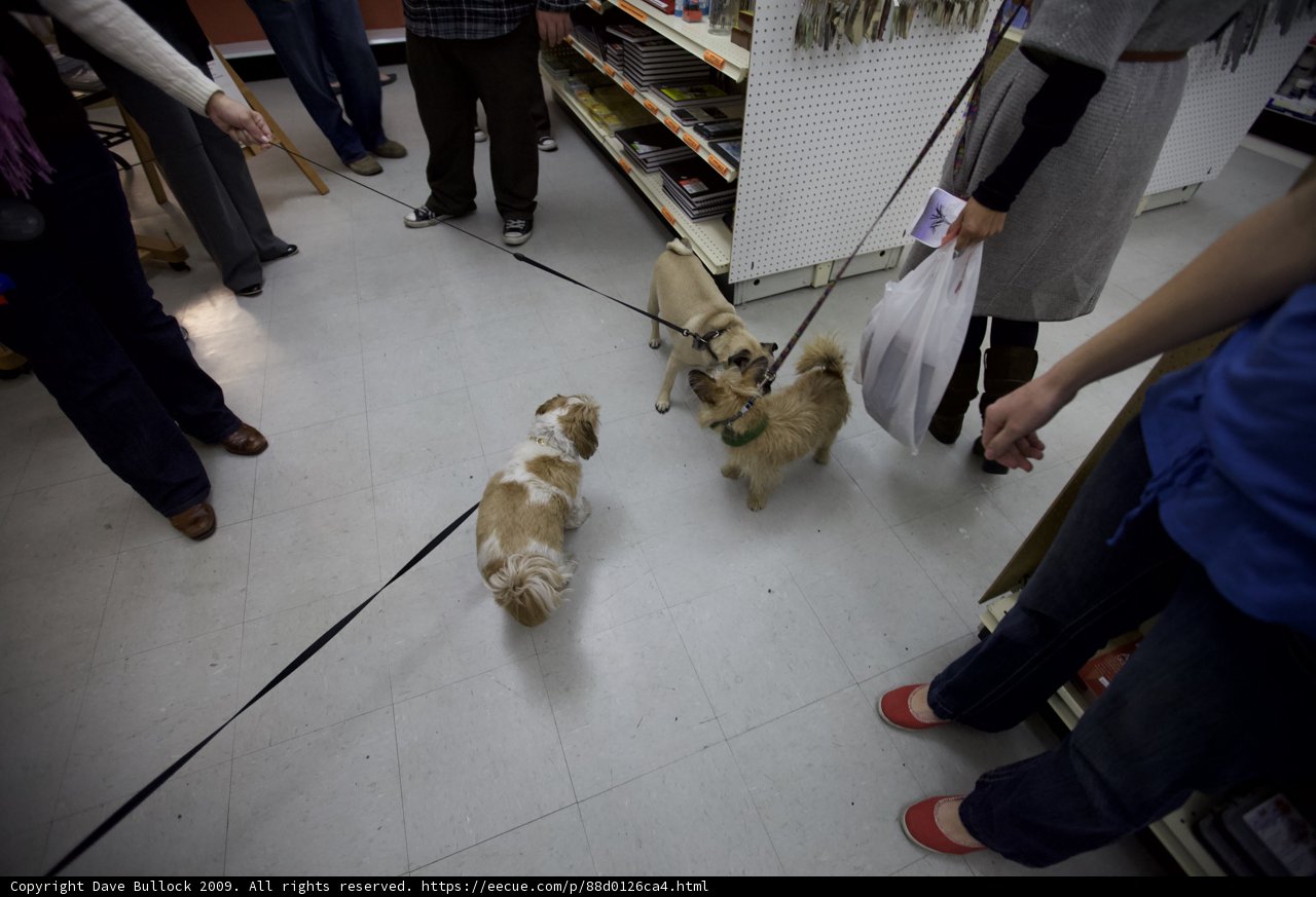 Shopping with Furry Friends