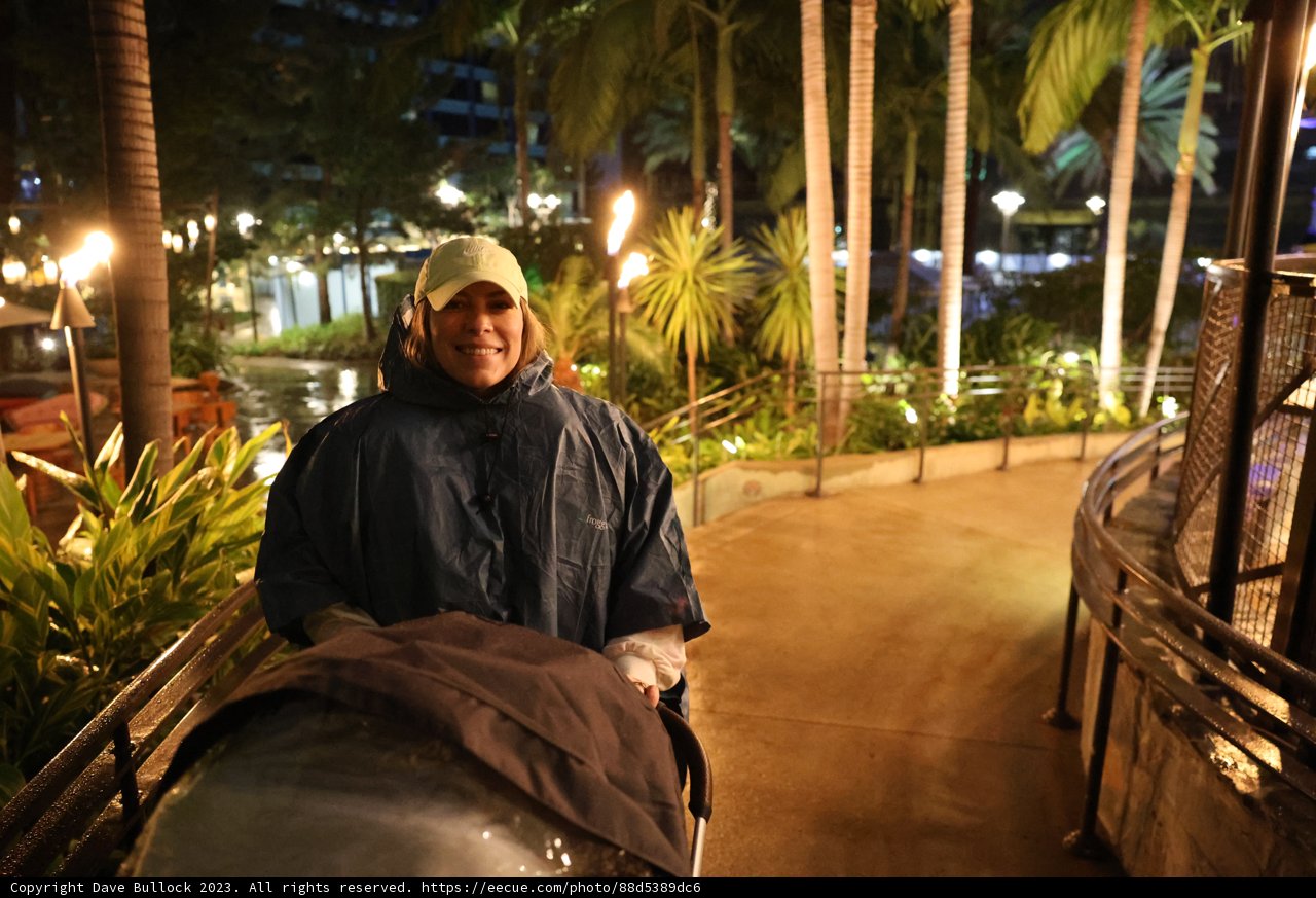 Rainy Night at Disneyland Hotel