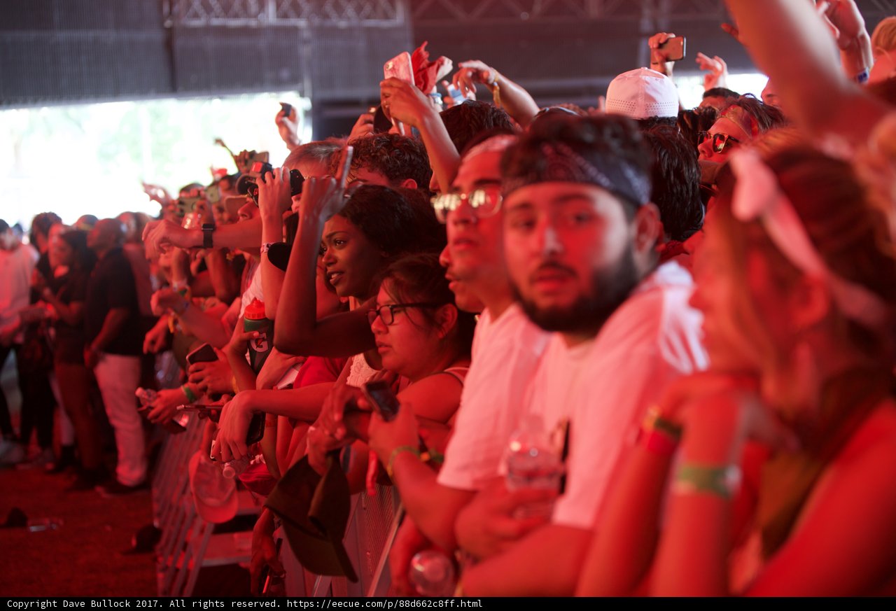 The Electric Crowd at Coachella