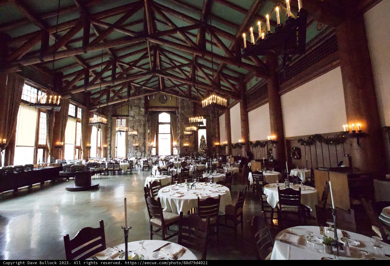 Breath of Elegance: The Banquet Hall