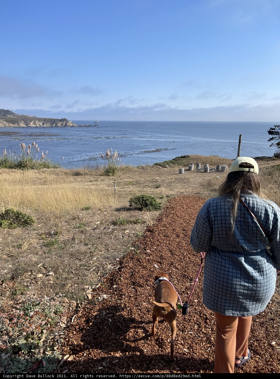 Coastal stroll with a furry friend