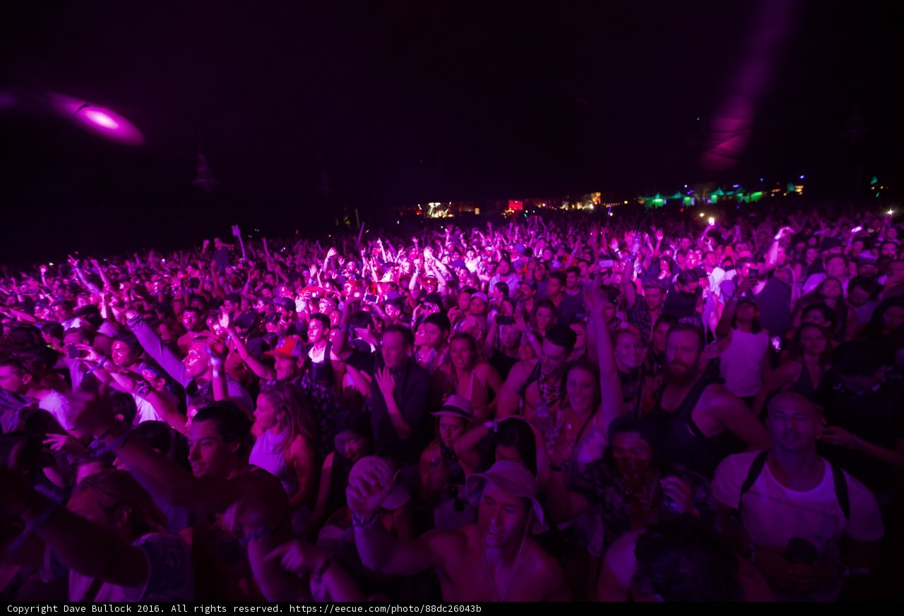 Purple Haze at Coachella