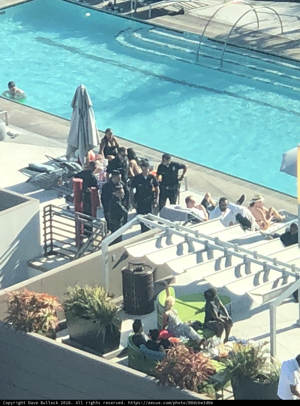 A Sunny Day by the Pool