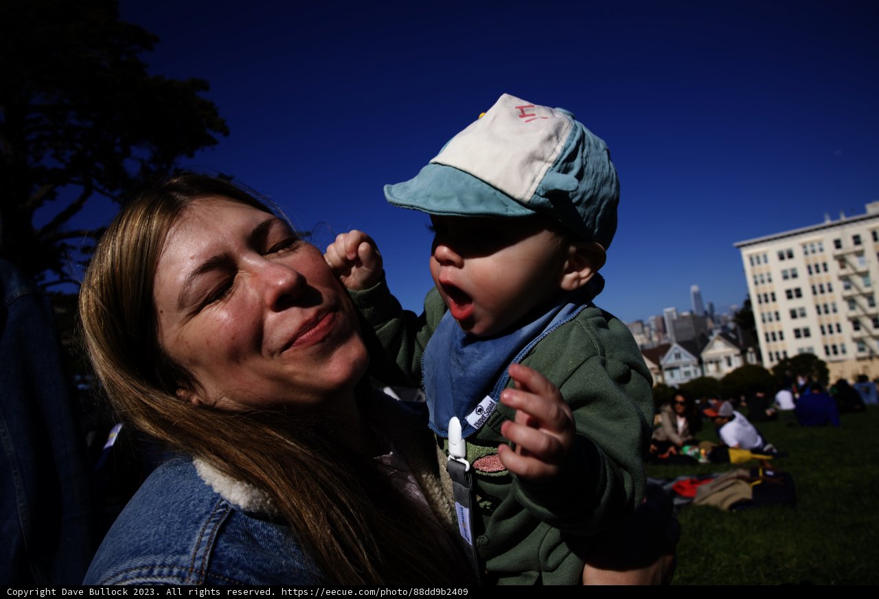 Joyful Moments at Alamo Square