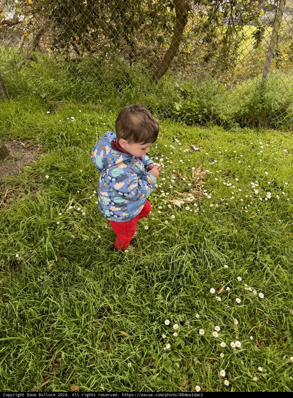 Springtime Wander