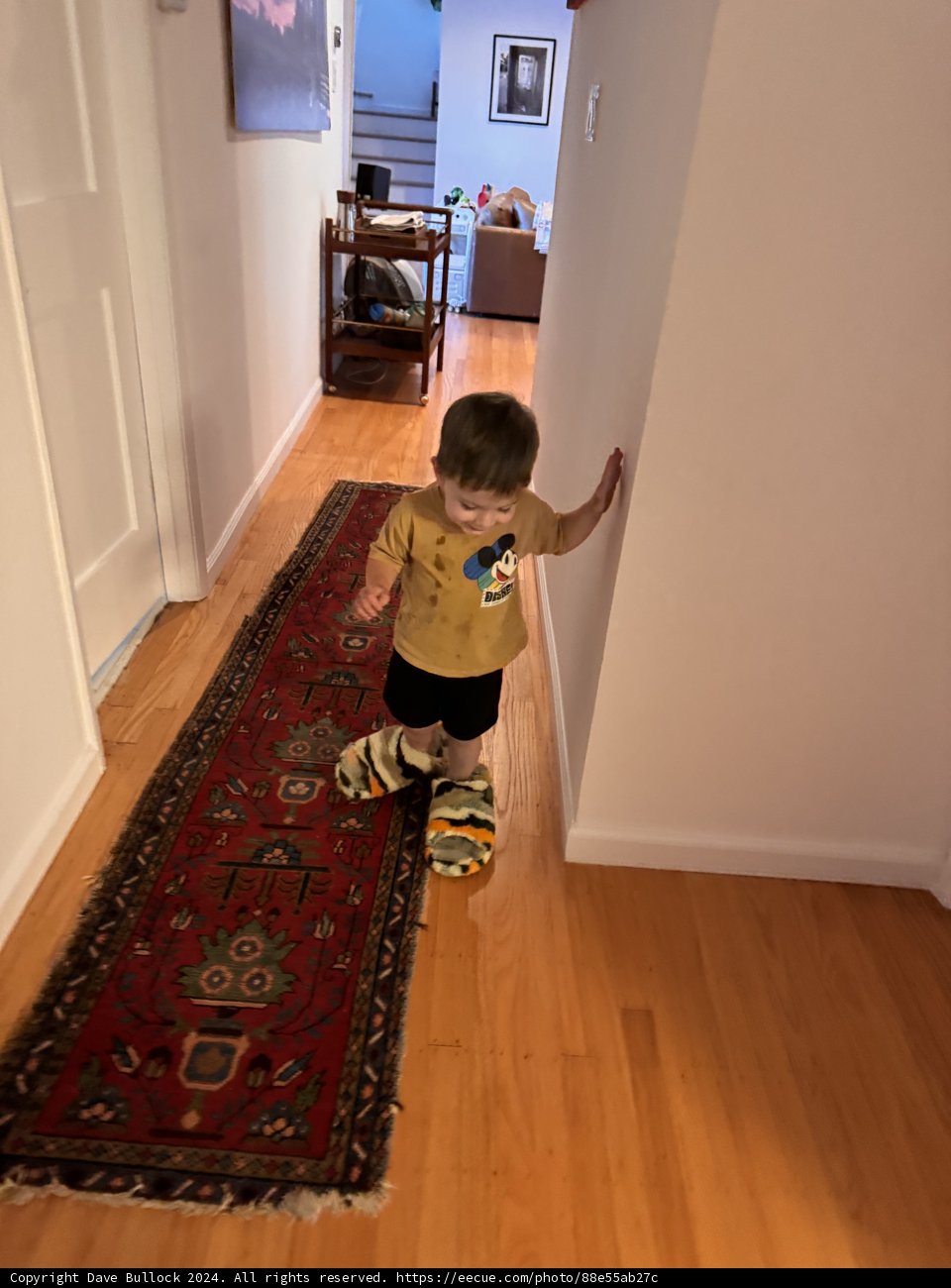 Journey Down the Hall
