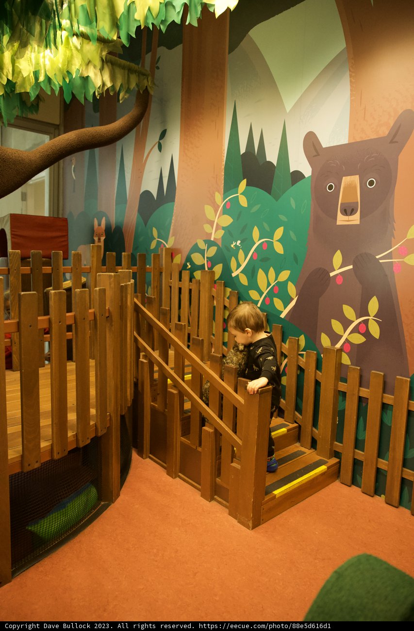 A Day of Adventure at the November Academy of Sciences
