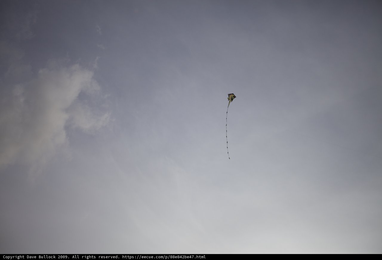 Soaring in the Sky